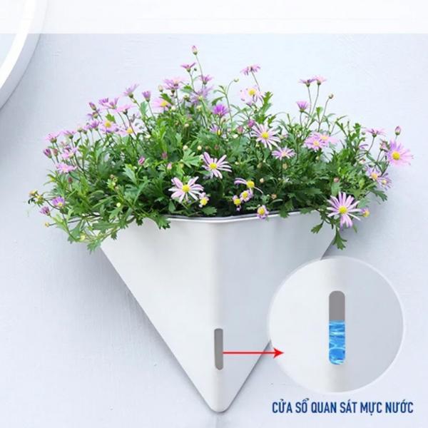Chậu tự tưới tam giác treo tường cao cấp màu trắng