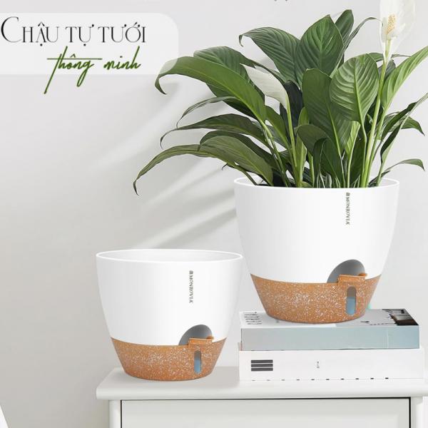 Chậu trồng cây tự tưới thông minh để bàn cho cây trong nhà và ngoài trời, decor, văn phòng